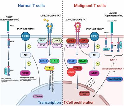 Acute T-cell lymphoblastic leukemia: chimeric antigen receptor technology may offer a new hope